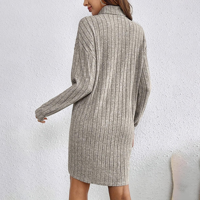 Women’s Turtleneck Knit Mini Dress – Slim Fit Winter/Spring Dress